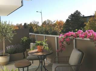 Südstadtzentrum! Verfügbare Mieteinheiten in der grünen Südstadt, Maria Enzersdorf! BT3, 1015.15 €, Immobilien-Wohnungen in 2344 Gemeinde Maria Enzersdorf Südstadtzentrum! Verfügbare Mieteinheiten in der grünen Südstadt, Maria Enzersdorf! BT3, 1015.15 €, Immobilien-Wohnungen in 2344 Gemeinde Maria Enzersdorf