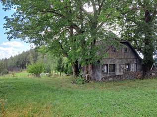 Almhütte auf der Gleinalm beim Krautwasch