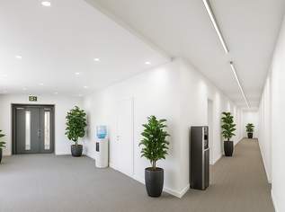 Erstbezug! Renoviertes 4-Zimmer Büro in Toplage, 4864.6 €, Immobilien-Gewerbeobjekte in 1010 Innere Stadt