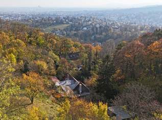 Ehemaliges Weinhauerhaus in einzigartiger Sieveringer Lage wartet auf Revitalisierung!, 1290000 €, Immobilien-Häuser in 1190 Döbling
