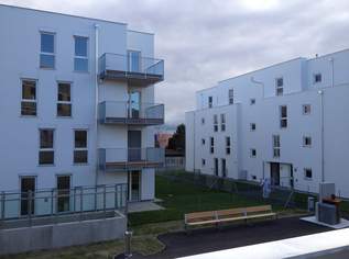 Unbefristete 2-Zimmer-Wohnung mit Loggia!, 923.12 €, Immobilien-Wohnungen in 2331 Vösendorf