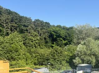 Raum zum Leben. Freiheit im Grünen. | ZELLMANN IMMOBILIEN, 0 €, Immobilien-Wohnungen in 3002 Purkersdorf