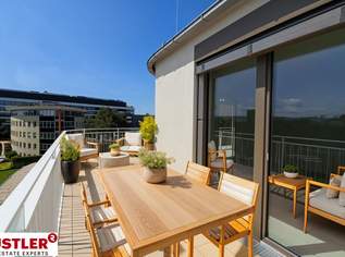 Wohnen an der Traisen – Im Herzen St. Pöltens - Exklusive Eigentumswohnungen mit Naturblick, 875500 €, Immobilien-Wohnungen in 3100 Stattersdorf