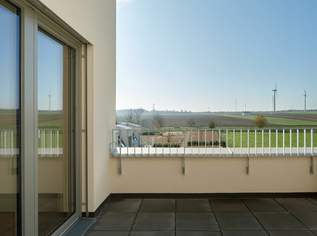 PROVISIONSFREI! gut geschnittene und helle 4-Zimmer-Wohnung mit Terrasse_Top 22_Kleegarten, 529000 €, Immobilien-Wohnungen in 2320 Kledering PROVISIONSFREI! gut geschnittene und helle 4-Zimmer-Wohnung mit Terrasse_Top 22_Kleegarten, 529000 €, Immobilien-Wohnungen in 2320 Kledering