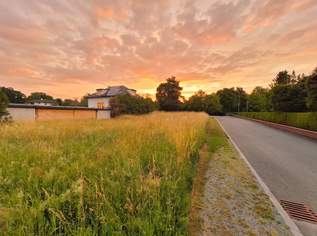 Ebenes Baugrundstück in Ortsrandlage, 40000 €, Immobilien-Grund und Boden in 7503 Großpetersdorf