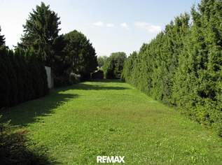 Idyllisches Grundstück in Wildungsmauer, 389000 €, Immobilien-Grund und Boden in 2403 Wildungsmauer