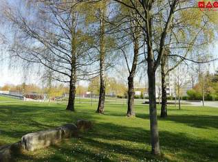 Ab 01.05. bezugsbereit - Sanierung in Arbeit! Attraktive 1-Zimmer-Wohnung in Parknähe, optimal für Studenten oder Singles!, 409.29 €, Immobilien-Wohnungen in Oberösterreich