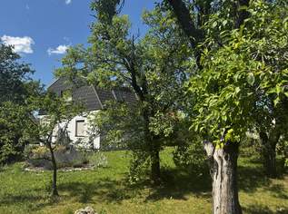 Wohnhaus inmitten vom Gartenparadies, 419000 €, Immobilien-Häuser in 2620 Gemeinde Neunkirchen Wohnhaus inmitten vom Gartenparadies, 419000 €, Immobilien-Häuser in 2620 Gemeinde Neunkirchen