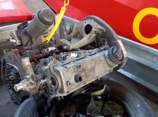 Tausch Motor für Skoda Octavia, 400 €, Auto & Fahrrad-Teile & Zubehör in 2700 Wiener Neustadt