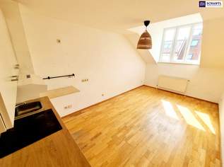 Frühlingsaktion! Entzückende Wohnung im Dachgeschoss in Best- und Ruhelage! Mit Sanierungsbedarf oder als Erstbezug nach Sanierung + Rundum saniertes Traumhaus! Jetzt zugreifen!, 190000 €, Immobilien-Wohnungen in 1030 Landstraße