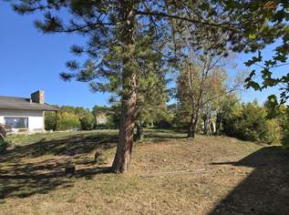 1.601 m² Grundstück in begehrter Villenlage mit Altbau in Bad Fischau, 497000 €, Immobilien-Häuser in 2721 Bad Fischau 1.601 m² Grundstück in begehrter Villenlage mit Altbau in Bad Fischau, 497000 €, Immobilien-Häuser in 2721 Bad Fischau