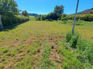 Ein guter Grund weiterzulesen....., 78234 €, Immobilien-Grund und Boden in 3383 Schlatzendorf Ein guter Grund weiterzulesen....., 78234 €, Immobilien-Grund und Boden in 3383 Schlatzendorf