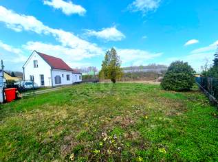 GRÜNBLICK MIT POTENTIAL!, 595000 €, Immobilien-Häuser in 2401 Fischamend