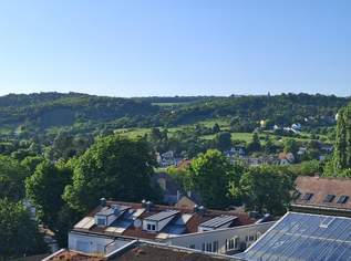 "Bisambergblick: Exklusives Dachgeschoss-Terrassen-Penthouse", 549000 €, Immobilien-Wohnungen in 1210 Floridsdorf "Bisambergblick: Exklusives Dachgeschoss-Terrassen-Penthouse", 549000 €, Immobilien-Wohnungen in 1210 Floridsdorf