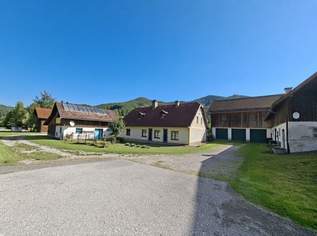 Anwesen mit insges. 23.600m² Fläche, 2 Wohnhäuser, Nebengebäude, Wirtschaftsgebäude, Garagen, 900000 €, Immobilien-Häuser in 3193 Kernhof