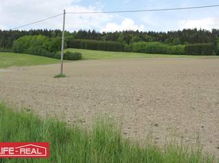 sonniges Grünland mit Wald, 67000 €, Immobilien-Grund und Boden in 4170 Sankt Oswald bei Haslach