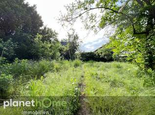 Einmalige Gelegenheit! Ihr Grundstück in Mühlwasser-Nähe mit Altbestand!, 685000 €, Immobilien-Grund und Boden in 1220 Donaustadt