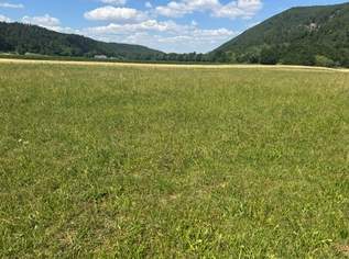 Letzter Baugrund beim Naturpark Sebenstein!, 111670 €, Immobilien-Grund und Boden in 2831 Gleißenfeld