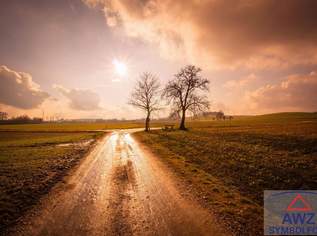 Wohnbauwidmung!, 0 €, Immobilien-Grund und Boden in 5280 Osternberg