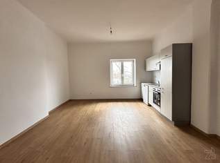 Großzügige sonnige, gut aufgeteilte 1- Zimmer-Dachgeschosswohnung in Graz Puntigam, 497.08 €, Immobilien-Wohnungen in 8055 