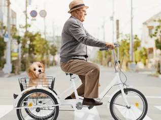 Dreirad Fahrrad NEU , 395 €, Marktplatz-Sportgeräte & Zubehör in 1010 Innere Stadt