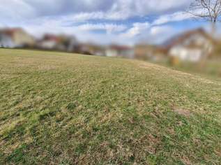 Sonniges Grundstück in Top Lage verfügbar, 0 €, Immobilien-Grund und Boden in 4175 Herzogsdorf Sonniges Grundstück in Top Lage verfügbar, 0 €, Immobilien-Grund und Boden in 4175 Herzogsdorf