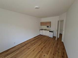 Gudrunstraße: Helle 2-Zimmer Wohnung, 953 €, Immobilien-Wohnungen in 1100 Favoriten
