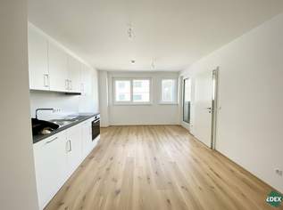 Attraktive 2-Zimmer Wohnung mit Loggia nahe U3 Kendlerstraße, 999 €, Immobilien-Wohnungen in 1140 Penzing