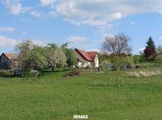 Ein Stück Freiheit. Ein Ort zum Ankommen. Ein charismatischer Hof voller Möglichkeiten., 499000 €, Immobilien-Häuser in 7540 Kleinmürbisch