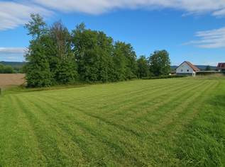 Grundstück im Saggautal: Sonnige Lage, Sackgassenzufahrt ,kein Bauzwang, 39900 €, Immobilien-Grund und Boden in 8453 Saggau