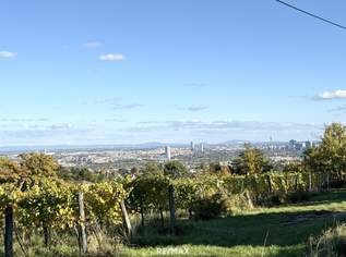 Grinzing: Eckgrundstück mit Zufahrt & Wienblick – seltene Gelegenheit, 470000 €, Immobilien-Grund und Boden in 1190 Döbling