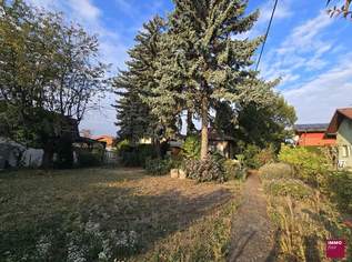 Garten im Eigentum der Kleingartenanlage Blumental, 0 €, Immobilien-Häuser in 1100 Favoriten