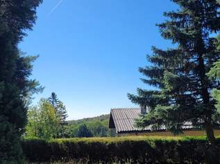 Eigengrund in Bestlage der Siedlung Wolfsbergen/Hagenbrunn, 314000 €, Immobilien-Grund und Boden in 2102 Flandorf