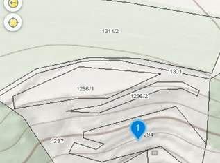 Landwirtschaft, Weingarten, Egelsee, 6500 m2, Agrar, Hobbygärtner, Freizeit , 1 €, Immobilien-Grund und Boden in 3500 Egelsee