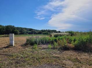 Sonniges Baugrundstück nahe Sonnentherme, 31950 €, Immobilien-Grund und Boden in 7361 Lutzmannsburg
