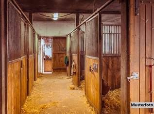 Historischer Reiterhof mit Gästezimmern und Ferienapartments, 3604500 €, Immobilien-Gewerbeobjekte in 5350 Aigen