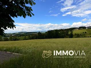 Landwirtschaftliche Fläche zwischen Fraham und Scharten zu verkaufen, 136900 €, Immobilien-Gewerbeobjekte in 4070 Fraham Landwirtschaftliche Fläche zwischen Fraham und Scharten zu verkaufen, 136900 €, Immobilien-Gewerbeobjekte in 4070 Fraham