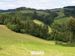 418.750 m² Wälder/Ackerland/Grünland - in der Buckligen Welt - Ihre Invenstition in Grund und Boden!, 0 €, Immobilien-Gewerbeobjekte in 2860 Aigen 418.750 m² Wälder/Ackerland/Grünland - in der Buckligen Welt - Ihre Invenstition in Grund und Boden!, 0 €, Immobilien-Gewerbeobjekte in 2860 Aigen