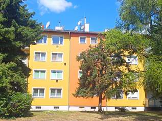 "Günstig kaufen statt teuer mieten!", 139000 €, Immobilien-Wohnungen in 2301 Gemeinde Groß-Enzersdorf "Günstig kaufen statt teuer mieten!", 139000 €, Immobilien-Wohnungen in 2301 Gemeinde Groß-Enzersdorf