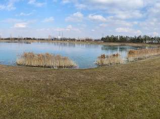 Trasdorf - Baugründe, 186620 €, Immobilien-Grund und Boden in 3452 Trasdorf