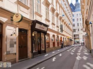 Altbaujuwel - Traumhafte Wohnung im Herzen Wiens!, 1550000 €, Immobilien-Wohnungen in 1010 Innere Stadt