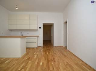 ++ ZUKUNFTSVORSORGE++ Top sanierte Wohnung in ruhiger Seitengasse + befristet vermietet + Stellplatz, 445000 €, Immobilien-Wohnungen in 1060 Mariahilf