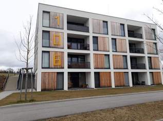 Einzelzimmer in 3er WG's!, 432 €, Immobilien-Wohnungen in 4232 Hagenberg im Mühlkreis Einzelzimmer in 3er WG's!, 432 €, Immobilien-Wohnungen in 4232 Hagenberg im Mühlkreis
