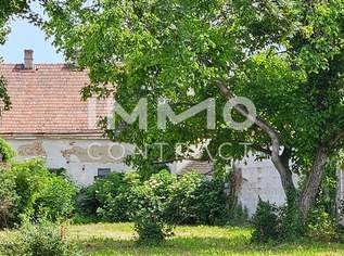 Zentrales, aufgeschlossenes Grundstück mit vielen Möglichkeiten, 760000 €, Immobilien-Grund und Boden in 2522 Gemeinde Oberwaltersdorf