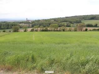 Ackerbau oder Weinanbau!, 0 €, Immobilien-Gewerbeobjekte in 3702 Stranzendorf Ackerbau oder Weinanbau!, 0 €, Immobilien-Gewerbeobjekte in 3702 Stranzendorf