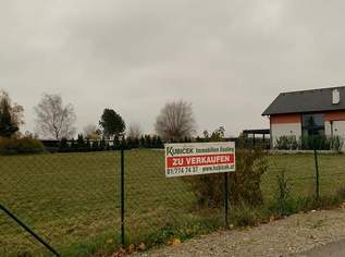 Unbebautes Grundstück in Groß Enzersdorf, 388000 €, Immobilien-Grund und Boden in 2301 Gemeinde Groß-Enzersdorf