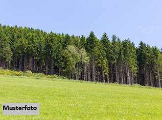 Landwirtschafts- und Waldfläche mit Hütte, 280000 €, Immobilien-Grund und Boden in 9100 Völkermarkt