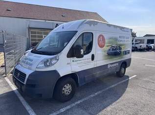 Ducato Verkauf nur an Händler !, 3800 €, Auto & Fahrrad-Autos in 2441 Gemeinde Mitterndorf an der Fischa