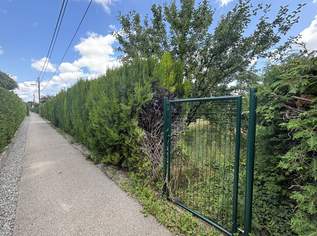 1210 Sonniges Grundstück! EIGENGRUND in schöner Kleingartenanlage!, 239000 €, Immobilien-Grund und Boden in 1210 Floridsdorf