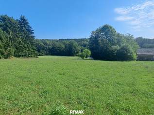 Traumhaftes Baugrundstück in Weinitzen in sonniger Waldrandlage, 250000 €, Immobilien-Grund und Boden in 8044 Niederschöckl
